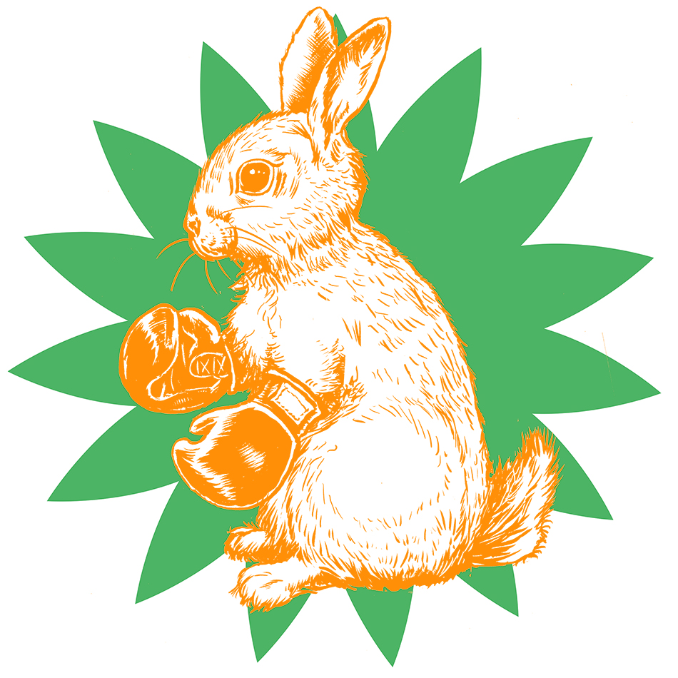 bunny_pugilist_butzer