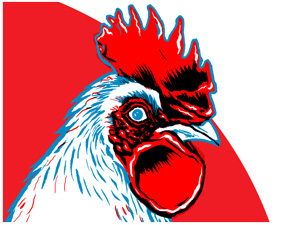 Surf Rooster T-shirt
