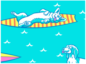 100 Surf Dog and 10 Cat Sharks